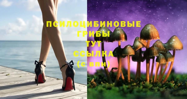стафф Краснотурьинск