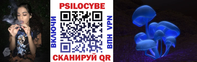 Купить  Малая Вишера  Псилоцибиновые грибы прущие грибы 